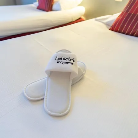 Ambiotel Ξενοδοχείο 4*